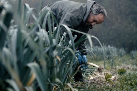TRAILER ALTERNATIVAS QUE SUMAN