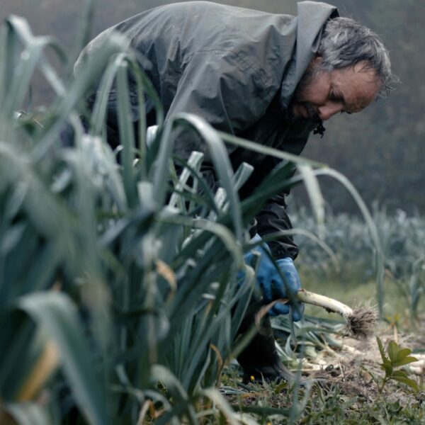 TRAILER ALTERNATIVAS QUE SUMAN