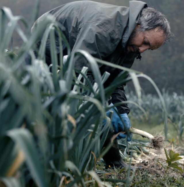 TRAILER ALTERNATIVAS QUE SUMAN