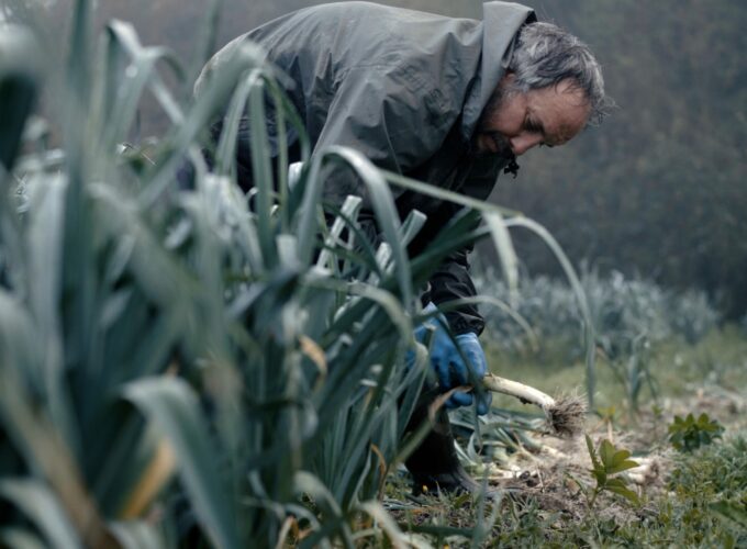 TRAILER ALTERNATIVAS QUE SUMAN